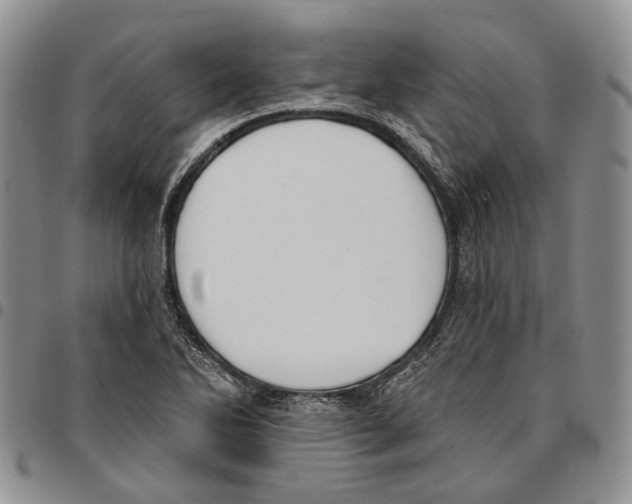 X0000096681270200803041233
