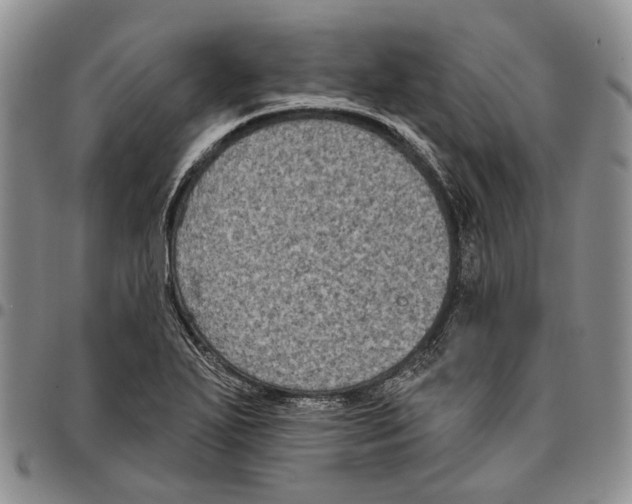X0000096681271200803041233