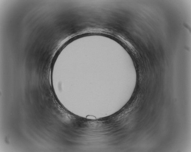 X0000096681272200803041233
