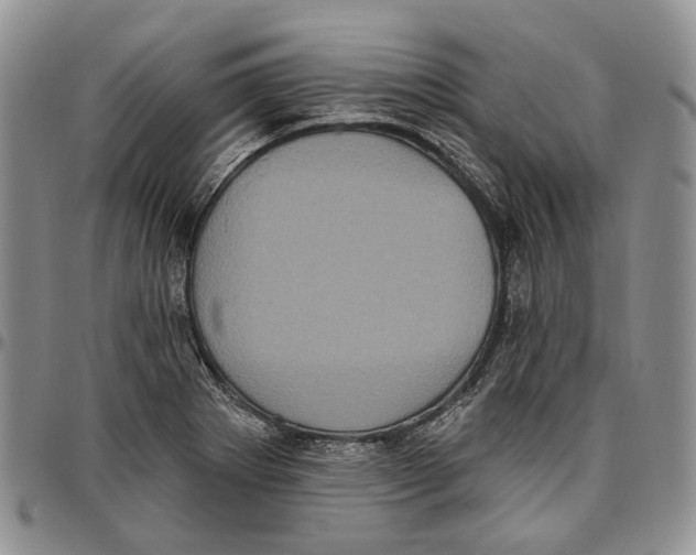X0000096681273200803041233