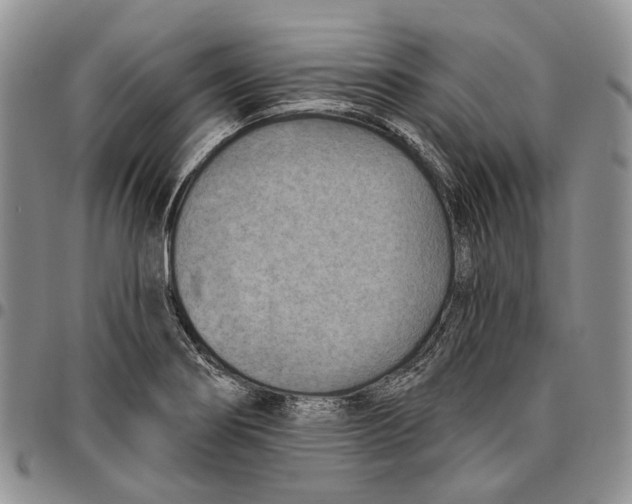 X0000096681274200803041233