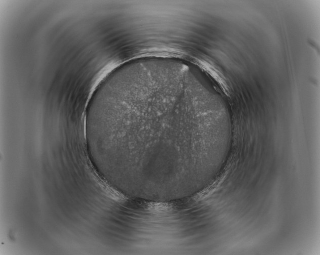 X0000096681275200803041233
