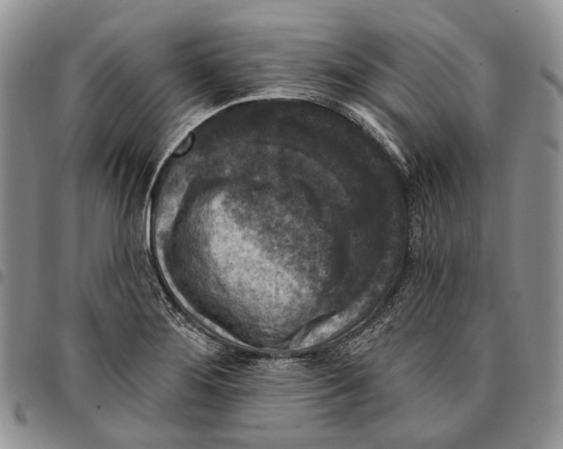 X0000096681276200803041233
