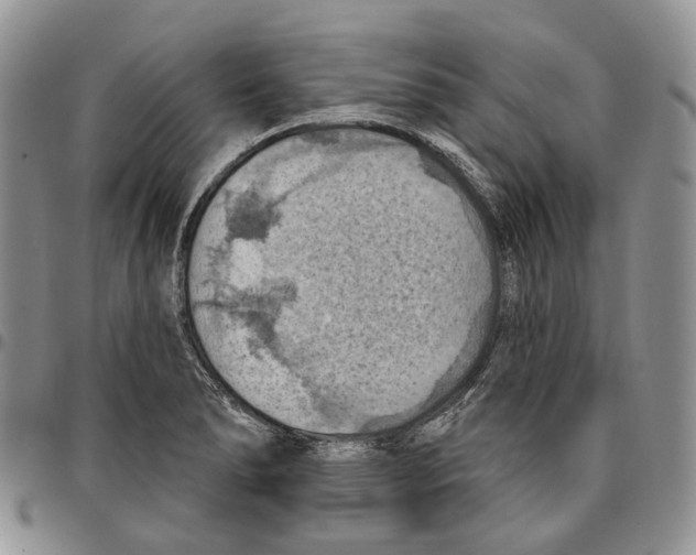 X0000096681278200803041233