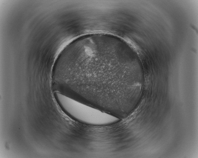 X0000096681279200803041233