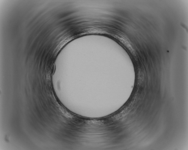X0000096681281200803041233