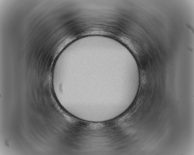 X0000096681282200803041233