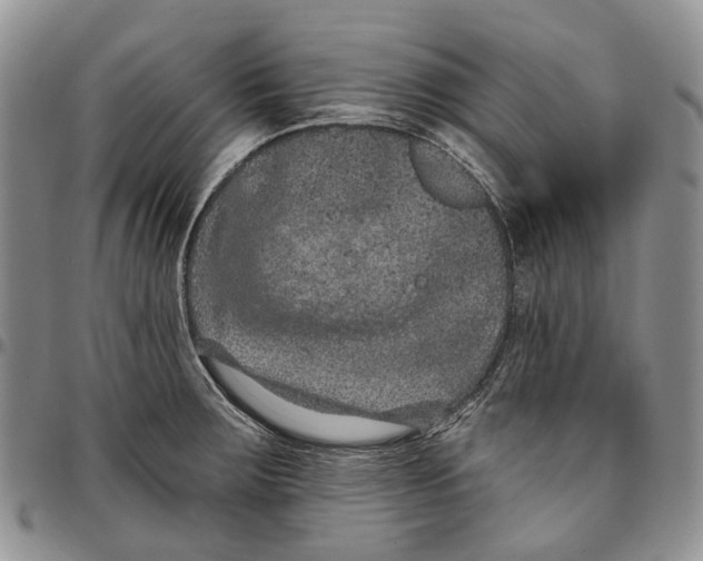 X0000096681283200803041233
