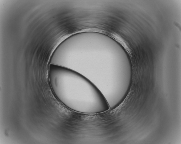 X0000096681284200803041233