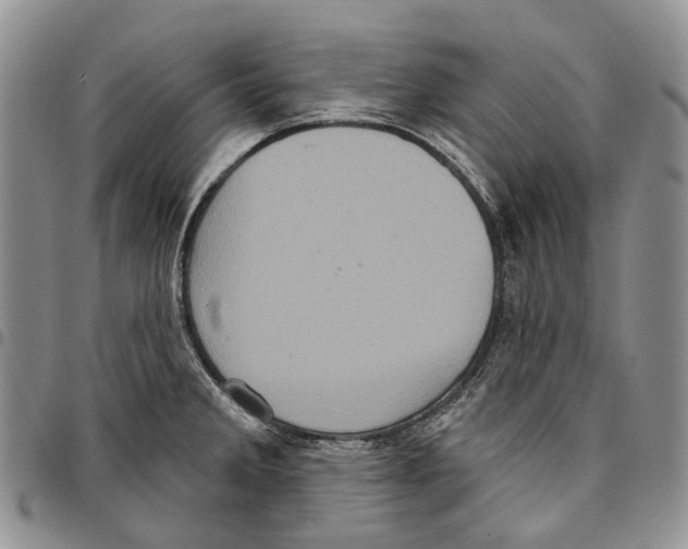 X0000096681285200803041233