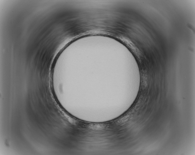 X0000096681286200803041233
