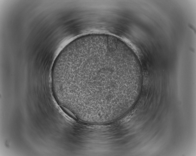 X0000096681287200803041233