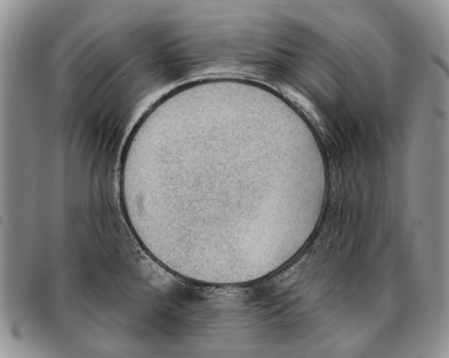 X0000096681288200803041233