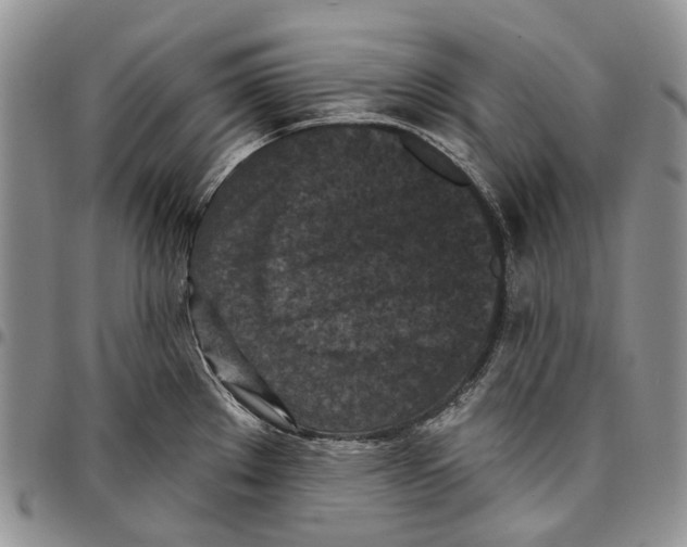 X0000096681289200803041233