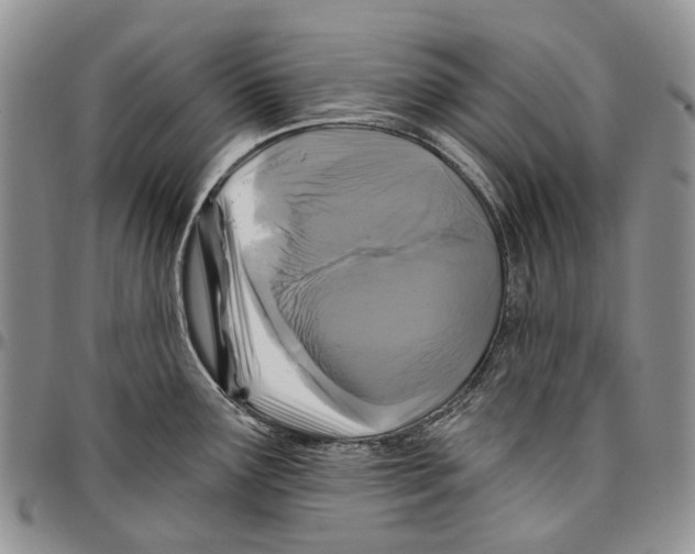 X0000096681291200803041233