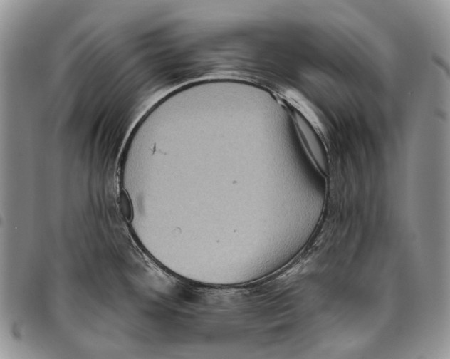 X0000096681292200803041233