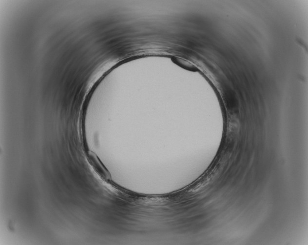 X0000096681293200803041233