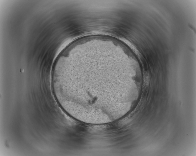 X0000096681294200803041233