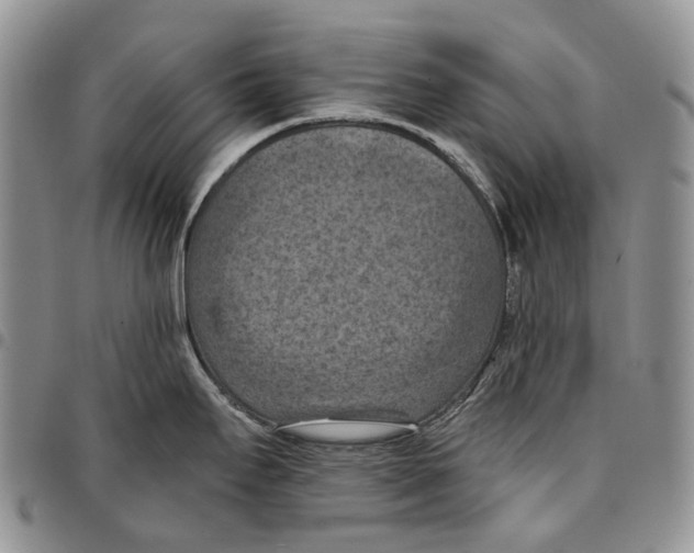 X0000096681295200803041233