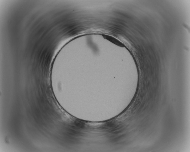 X0000096681296200803041233