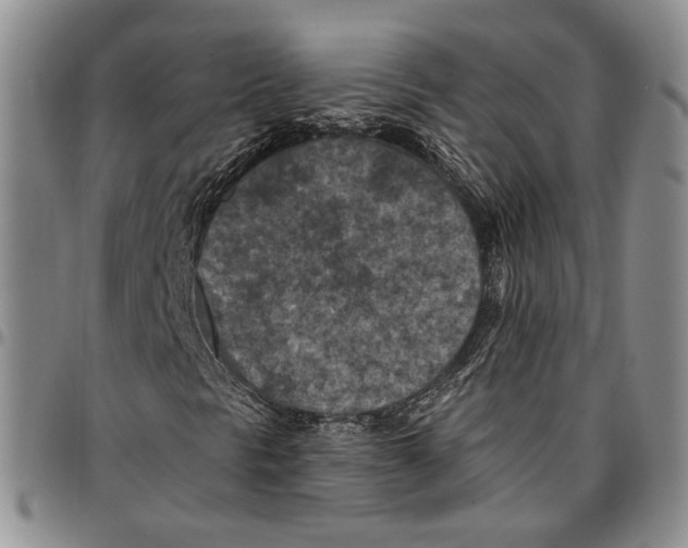 X0000096681297200803041232