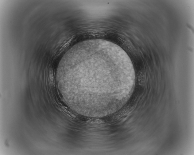 X0000096681298200803041232