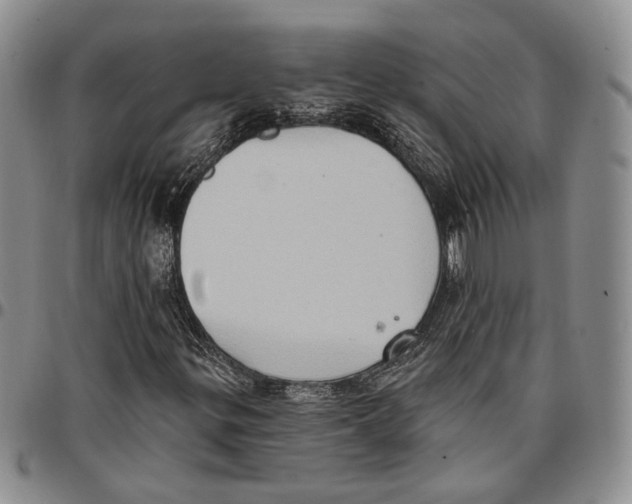 X0000096681299200803041232