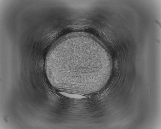 X0000096681300200803041232