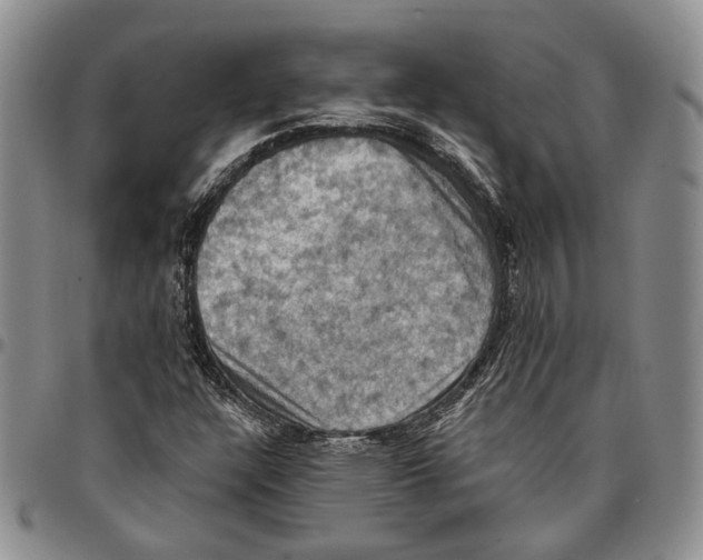 X0000096681304200803041232