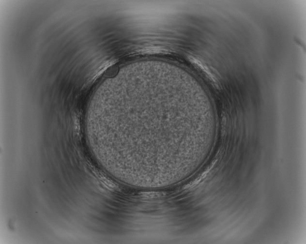 X0000096681305200803041232
