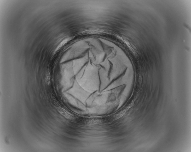X0000096681306200803041232