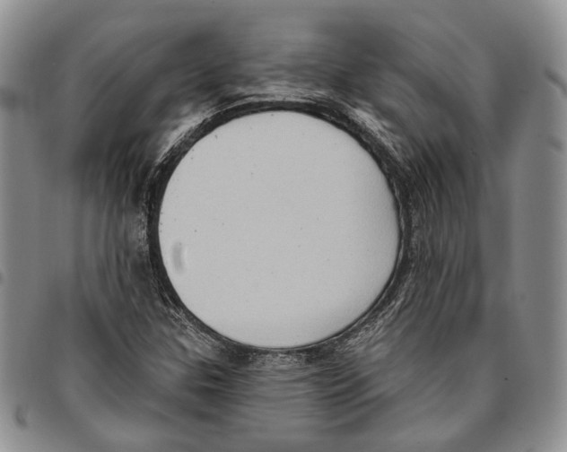 X0000096681307200803041232