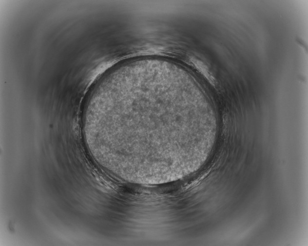 X0000096681308200803041232