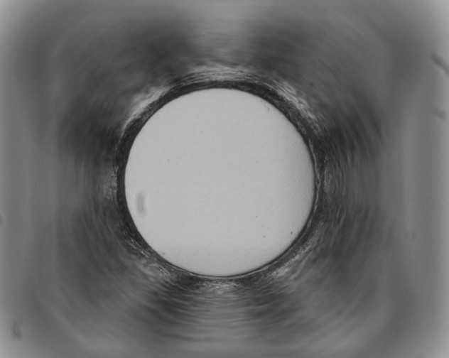 X0000096681309200803041232