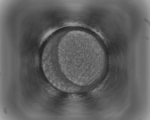 X0000096681311200803041232