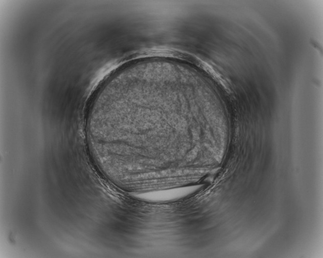 X0000096681312200803041232