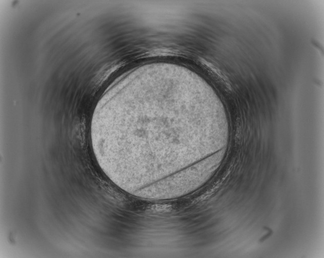 X0000096681313200803041233
