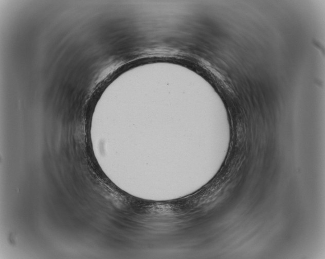 X0000096681315200803041233