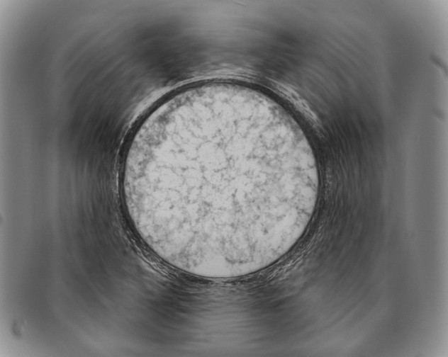 X0000096681316200803041233