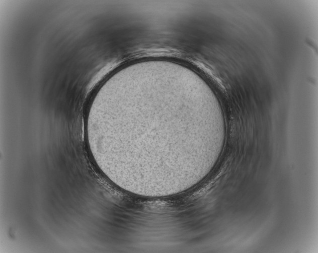 X0000096681317200803041233