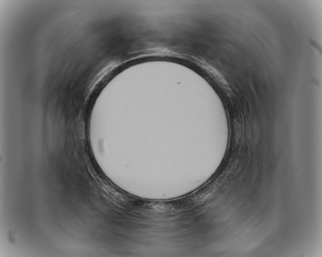 X0000096681318200803041233