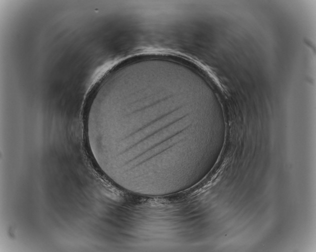 X0000096681319200803041233