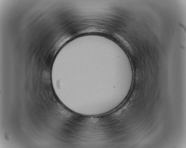 X0000096681321200803041233