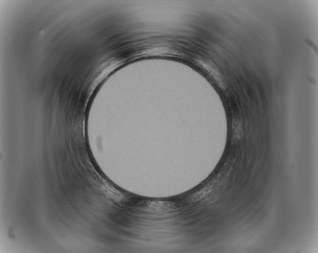 X0000096681322200803041233