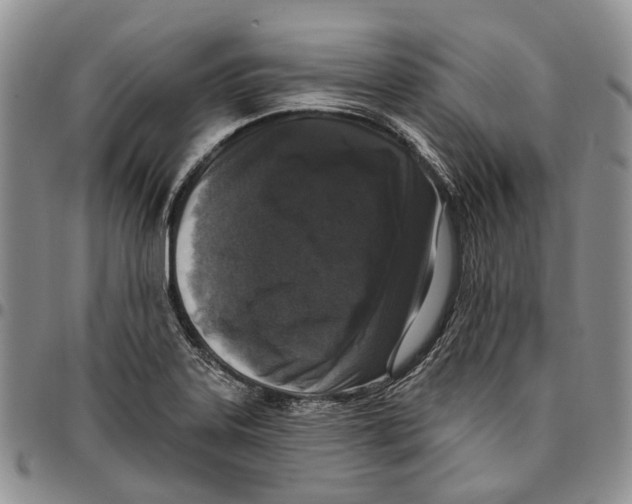 X0000096681323200803041233