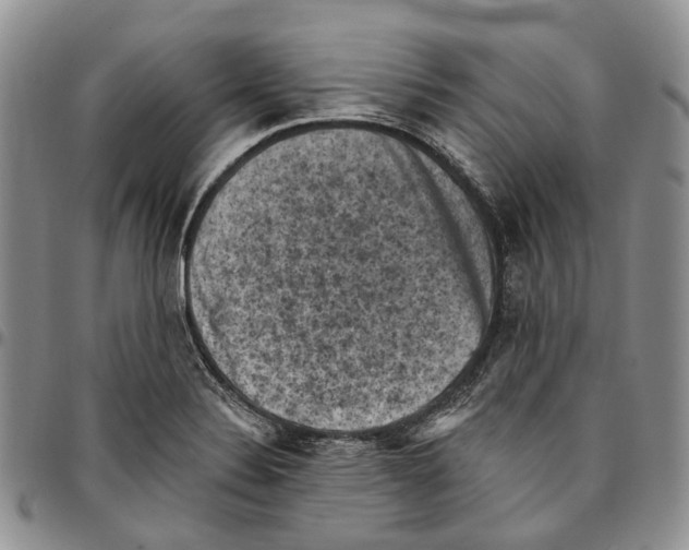 X0000096681324200803041233