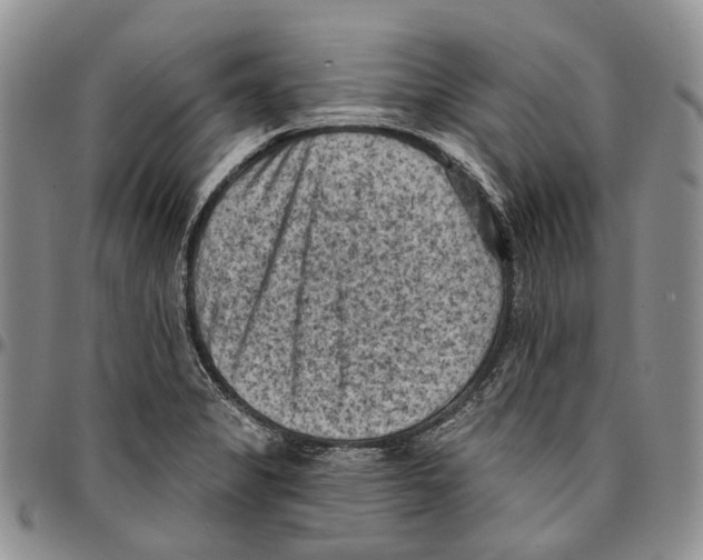 X0000096681325200803041233