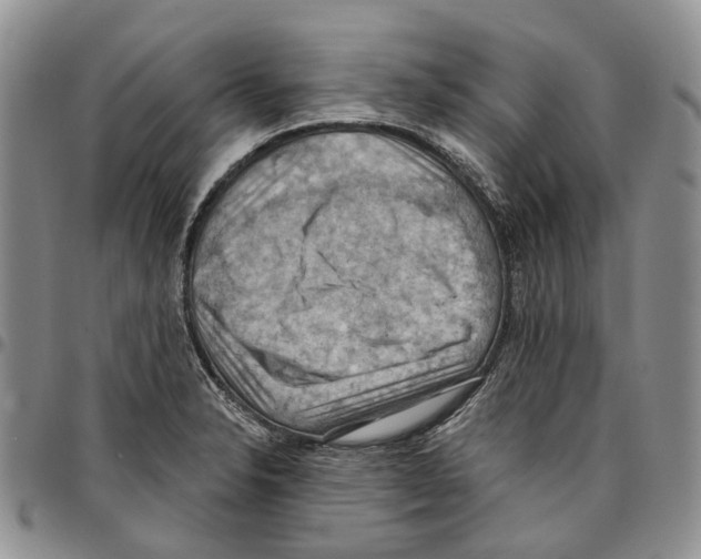 X0000096681326200803041233