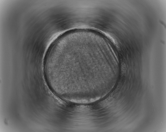 X0000096681327200803041233