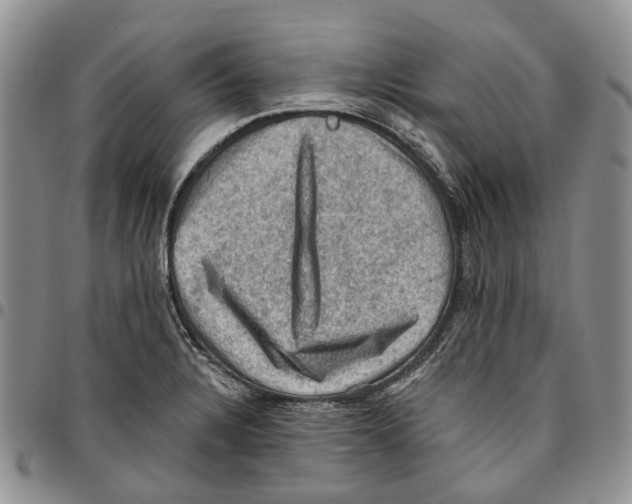 X0000096681328200803041233
